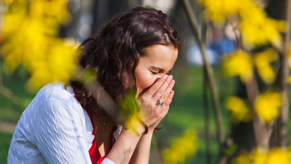Managing Hay Fever with Home Ground Pharmacy